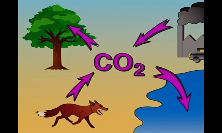 Cycle du carbone - Introduction - 2mn 12s